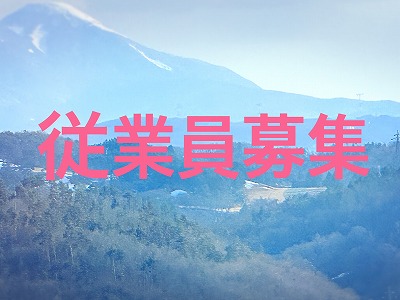 求人